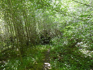 Looking back down the hallway of green