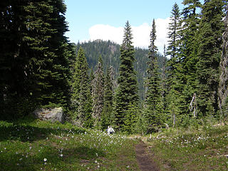 Back on the Grand Park trail.