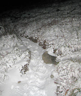 Snowy trail to Granite