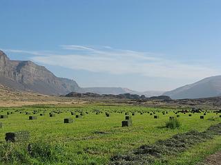 Moses Coulee contrasts