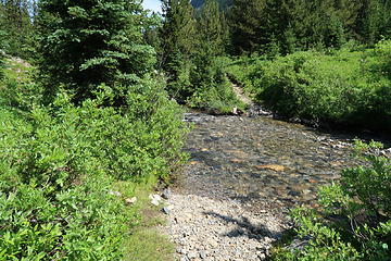 Middle Fork Pasayten crossing.  I had tennis shoes on so just walked across