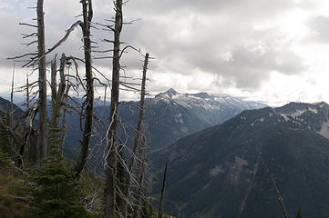 Mt David through the trees