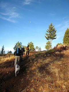 On the old spur road under the moon