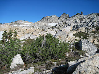 Looking back up to summit from south side