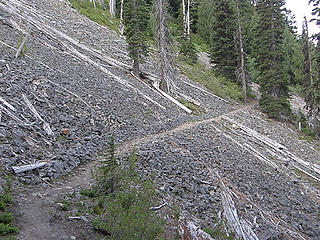 Clearing/avalanche area not far past creek crossing on Crystal Peak trail.