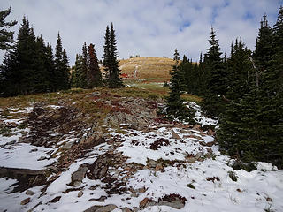 Toward Latour Peak, 6408.' The highpoint of Kootenai County, Idaho.