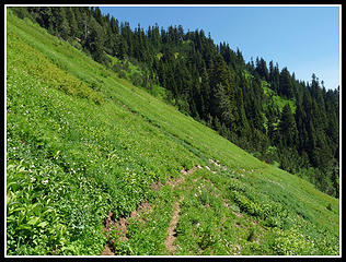 Hillside Meadows