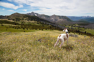 Summertime in Horseshoe Basin