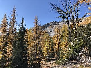 Looking back up at Baldy