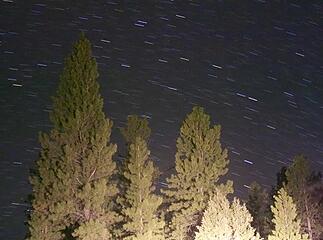Star Trail photo using the car headlights to light the trees