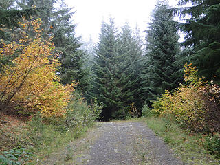 Fall on the trail.