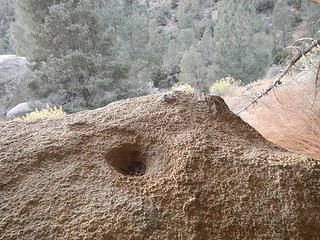 metate