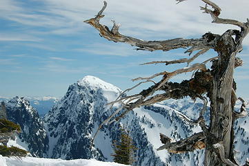 Mt. Index