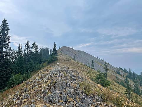 Approaching the summit of Sawmill Ridge
