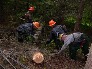 Crew is rigging twisters to reinforce the tailhold stump.
