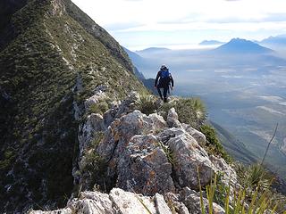 one of several narrow sections