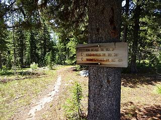 Tom Beal trail drops about 1000' in two miles to the junction with Wind Lakes trail.