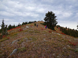 Ascending Larkins Peak.