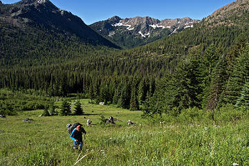 Fletcher heading up the meadow