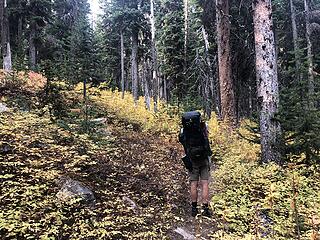 Heading up the West Buttermilk Creek Trail to Fish Creek Pass