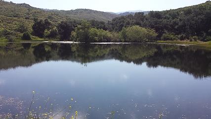 Sunshine Pond