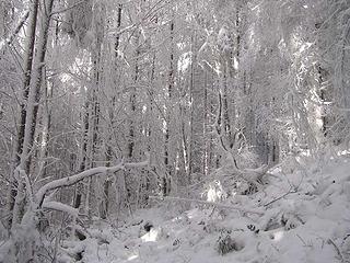 Frosty route up the south side of Tiger 1