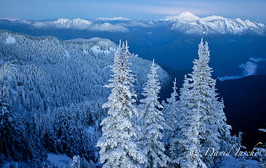 Twlight on new snow, Kulshan in distance