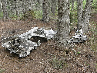 Plane wreckage just off of Tull Canyon trail.