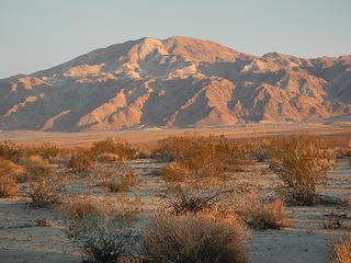 first light on Pinto