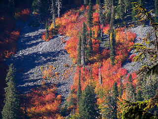 Fall colors