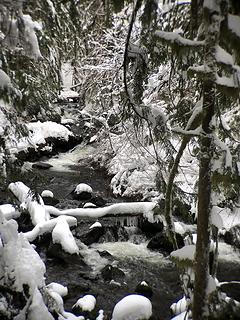 South Fork Wallace River 1/16/20