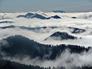 lowlands w/ Mount St. Helens peaking out