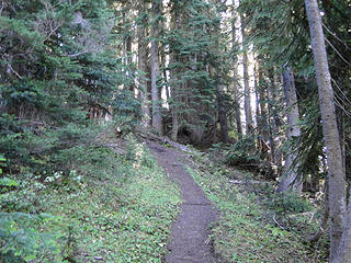 Trail to head back in woods on Shriner Peak trail.