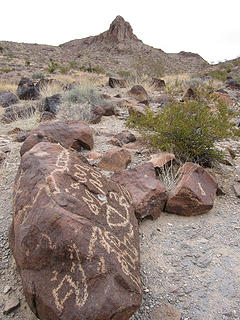 North McCullough Wilderness, NV