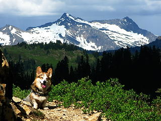 Gather ye rosebuds while ye may. Old Time is still a-flying;	And this same flower that smiles today, To-morrow will be dying.   [Poetic license -- Herrick was not an American Poet.]  Gwynnie on probably her last trip to a favorite place.  Do it while you can.  American Poet range in background.