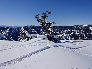 In spite of it being a sunny Sunday, there were not many snowmobilers out today.