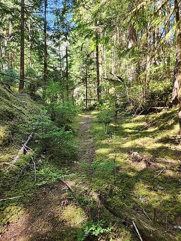 lovely trail