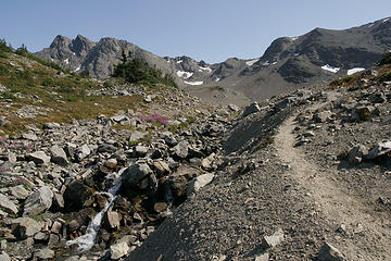 Cameron Basin, Olympic National Park, Washington.