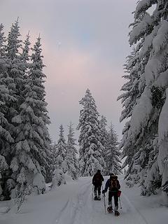 Lightly snowing on the road