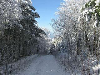 The lane from Tiger 1 to Tiger 2