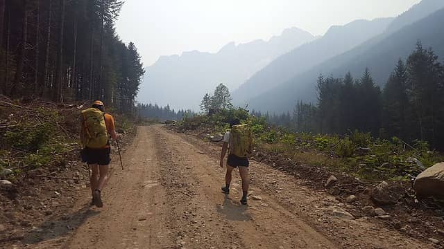 walking the logging road