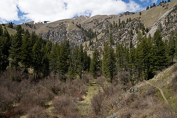 Potters Flat along the West Fork Rapid River, Seven Devils Mountains, Idaho.