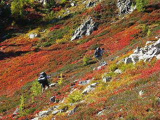 Hiking through the colors