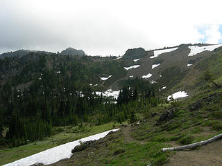 Green meadow madness near Marmot Pass