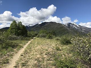 Rat Creek Ridge Trail