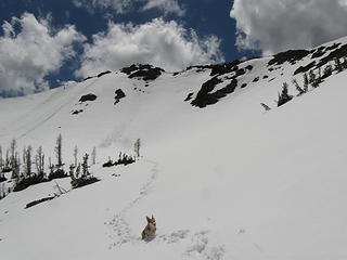 Earl's N slope.  Still enough snow for play 6/1/13.