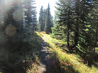 Ridge trail