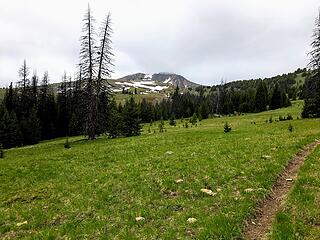 Approaching Sheep under low clouds and rain showers