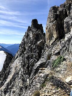 black tooth notch