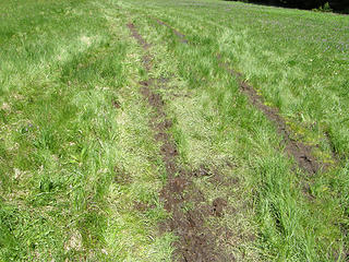 Mud in meadows before Grand Park.